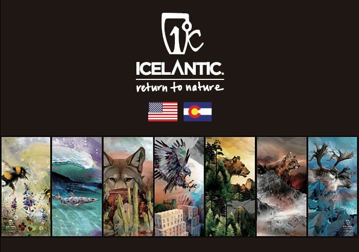 WebSports - アイスランティック ICELANTIC（フリースタイルスキー