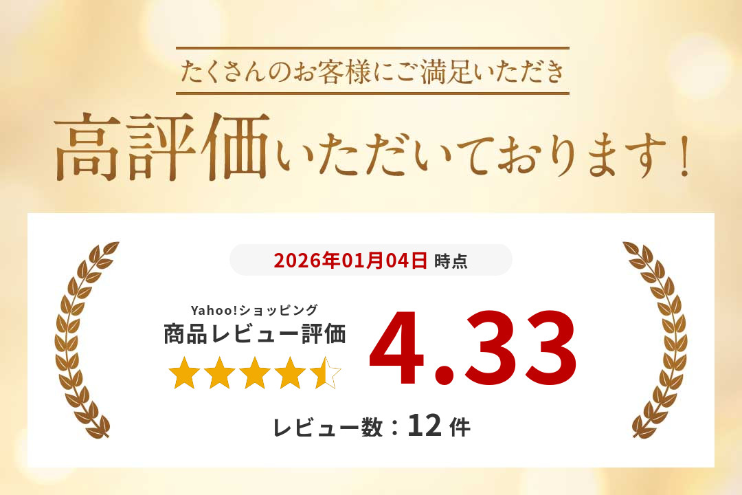 スキーケース オールインワン DX Websports オリジナル キャスター付