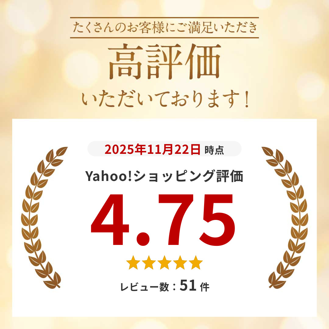 ELEMENT（エレメント） スケボー コンプリート 初心者 おすすめ