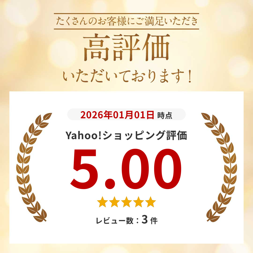 HEAD（ヘッド） スノーボードブーツ BOA 初心者〜中級者向け HEAD