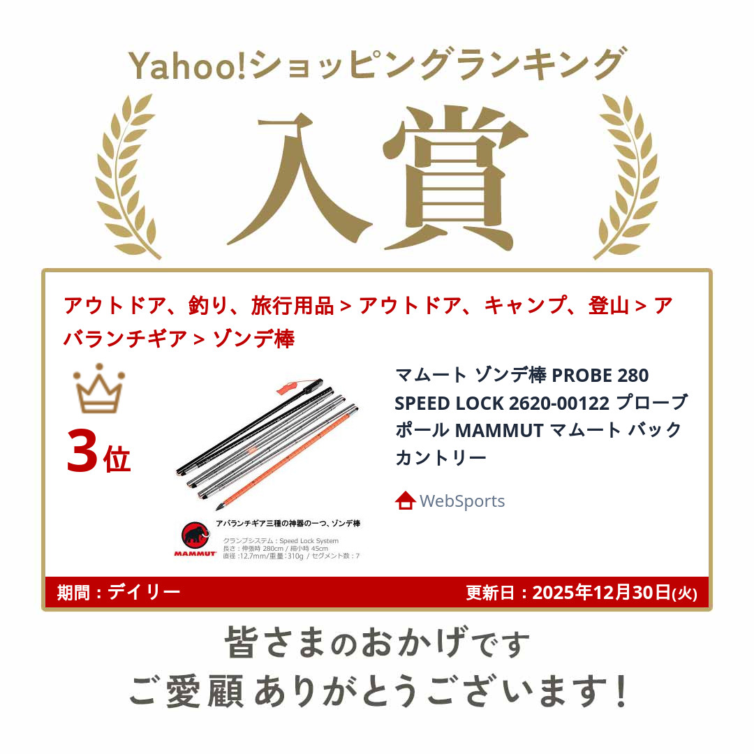 MAMMUT（マムート） ゾンデ棒 PROBE 280 SPEED LOCK 2620-00122