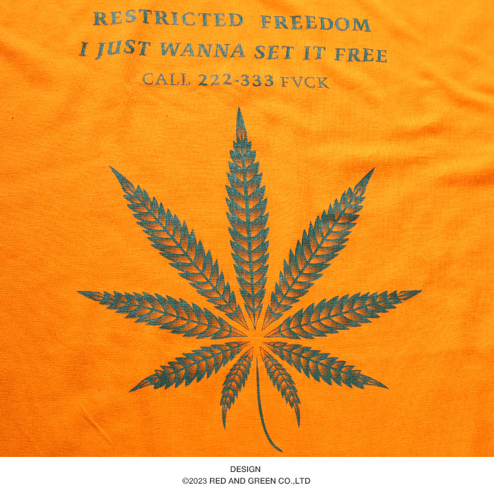 ACEFLAG（エースフラッグ） ACE FLAG Tシャツ 半袖 大きいサイズ