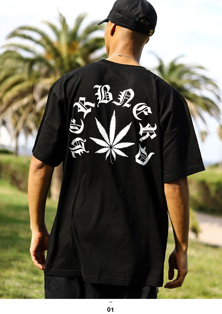 ACE FLAG Tシャツ 半袖 大きいサイズ エースフラッグ シンプル ビッグシルエット アーチロゴ 大麻 マリファナ ヘンプ ロゴ ブランドロゴ  : 111123501 : 本格派大人のB系XL&零ZERO - 通販 - Yahoo!ショッピング