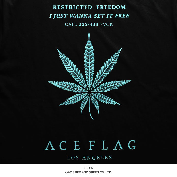 ACE FLAG Tシャツ 半袖 大きいサイズ エースフラッグ ミントグリーン ミント ブルー オーバーサイズ 大麻 マリファナ ヘンプ ロゴ｜weekindenim｜13