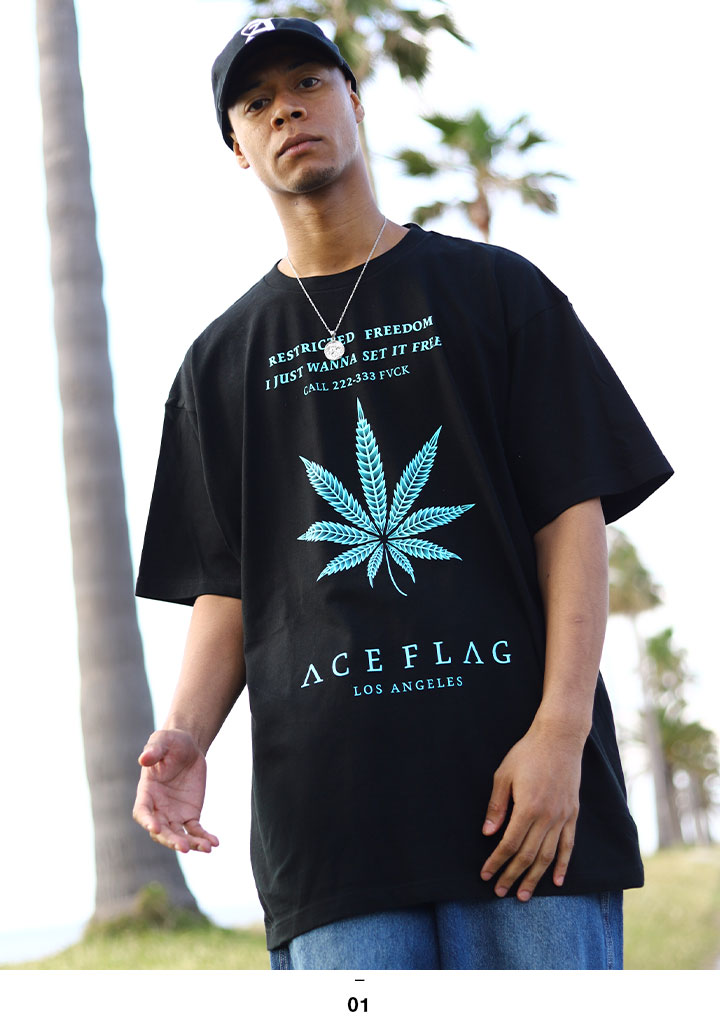ACE FLAG Tシャツ 半袖 大きいサイズ エースフラッグ ミントグリーン ミント ブルー オーバーサイズ 大麻 マリファナ ヘンプ ロゴ｜weekindenim｜05
