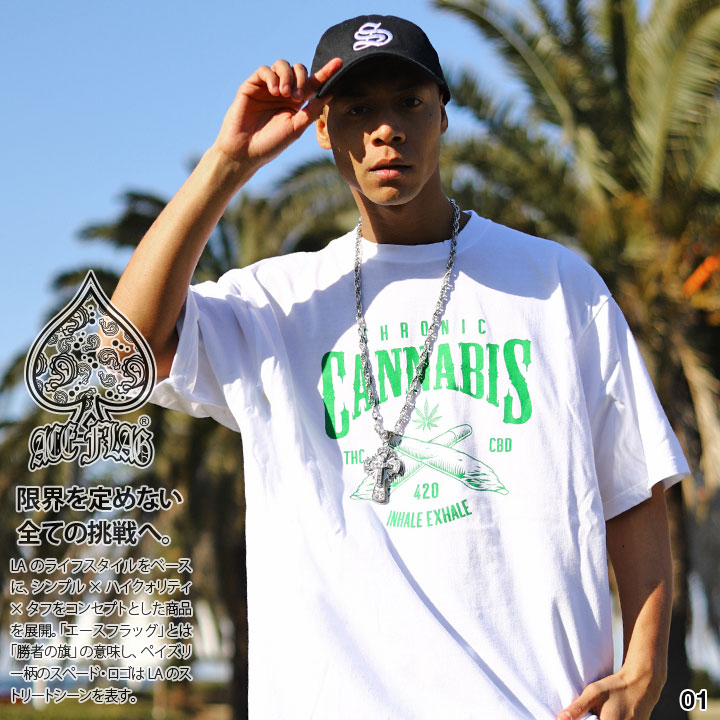 ACEFLAG（エースフラッグ） ACE FLAG Tシャツ 半袖 大きいサイズ BUDS