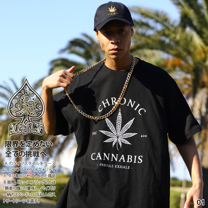 ACEFLAG（エースフラッグ） ACE FLAG Tシャツ 半袖 大きいサイズ BUDS