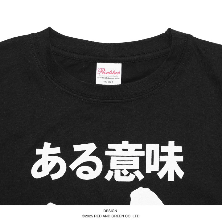 ある意味神 Tシャツ 半袖 大きいサイズ 和柄 漢字 神 神様 ロゴ ヲタ