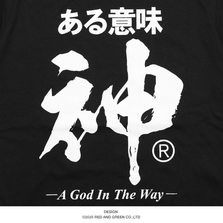 ある意味神 Tシャツ 半袖 大きいサイズ 和柄 漢字 神 神様 ロゴ ヲタ