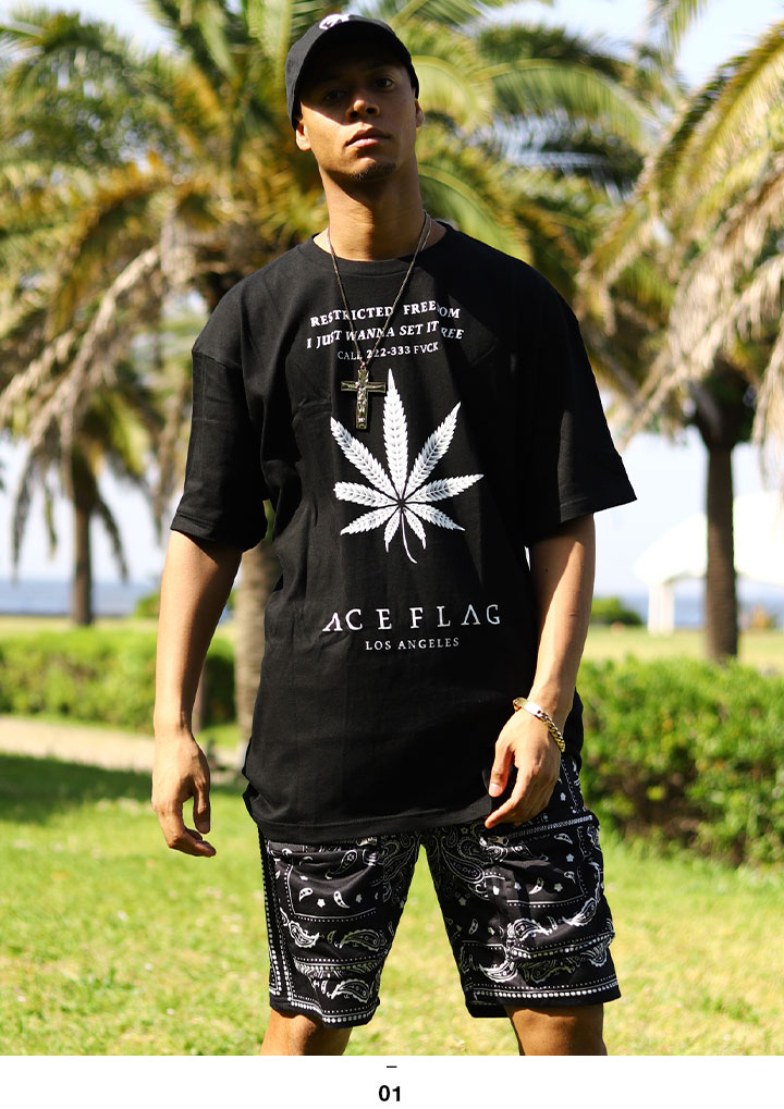 ACEFLAG（エースフラッグ） 上下セット 半袖 ブランド Tシャツ ハーフ
