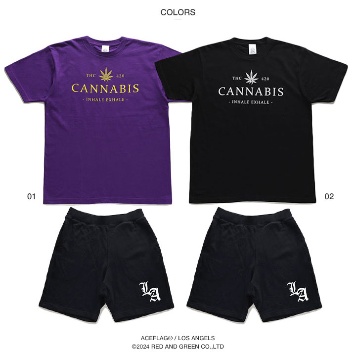 ACEFLAG（エースフラッグ） 上下セット 半袖 ブランド Tシャツ ハーフ