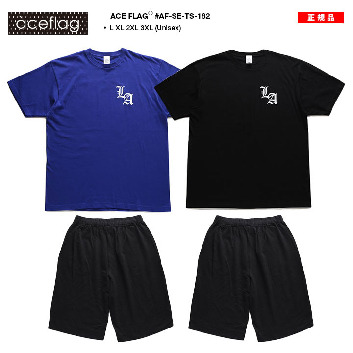 入手困難 エースフラッグ ACEFLAG セットアップ 半袖 C/S ロゴ ACEFLAG ACE FLAG 上下セット 半袖 ブランド Tシャツ ハーフ