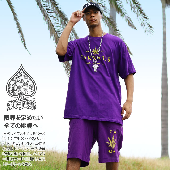 入手困難 エースフラッグ ACEFLAG セットアップ 半袖 大麻 ACEFLAG ACE FLAG 上下セット 半袖 Tシャツ ハーフパンツ 大きい