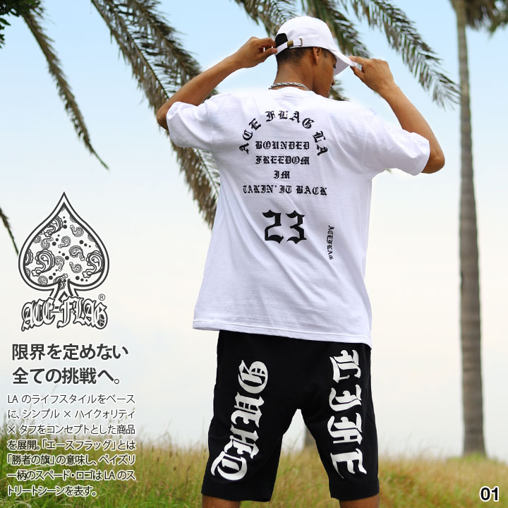 入手困難 エースフラッグ ACEFLAG セットアップ 半袖 Pablo ACEFLAG ACE FLAG 上下セット 半袖 ブランド Tシャツ ハーフ