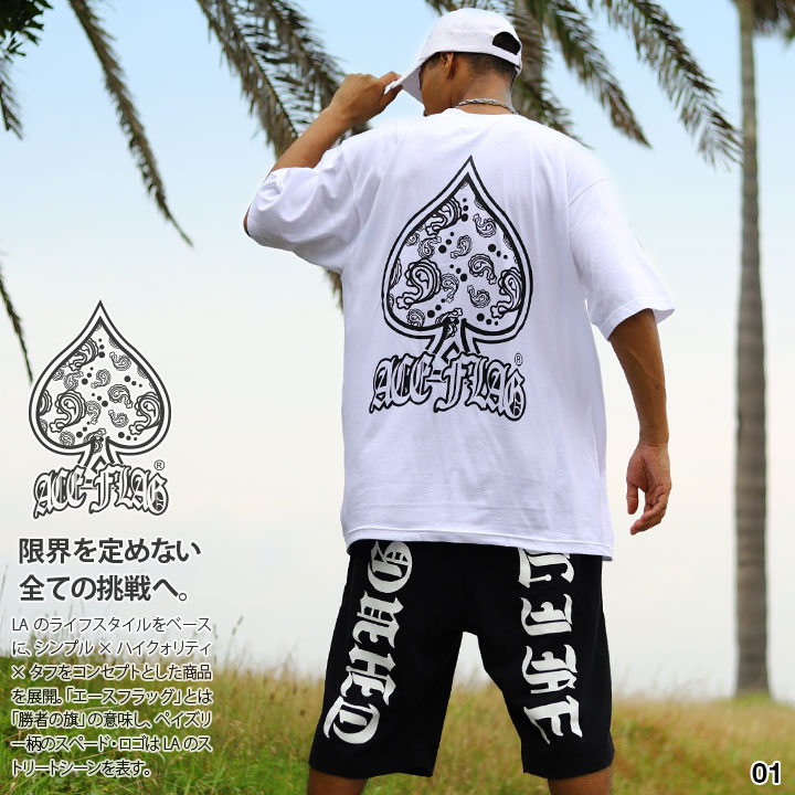 入手困難 エースフラッグ ACEFLAG セットアップ 半袖 ペイズリー ACEFLAG ACE FLAG 上下セット 半袖 Tシャツ ハーフパンツ 大きい