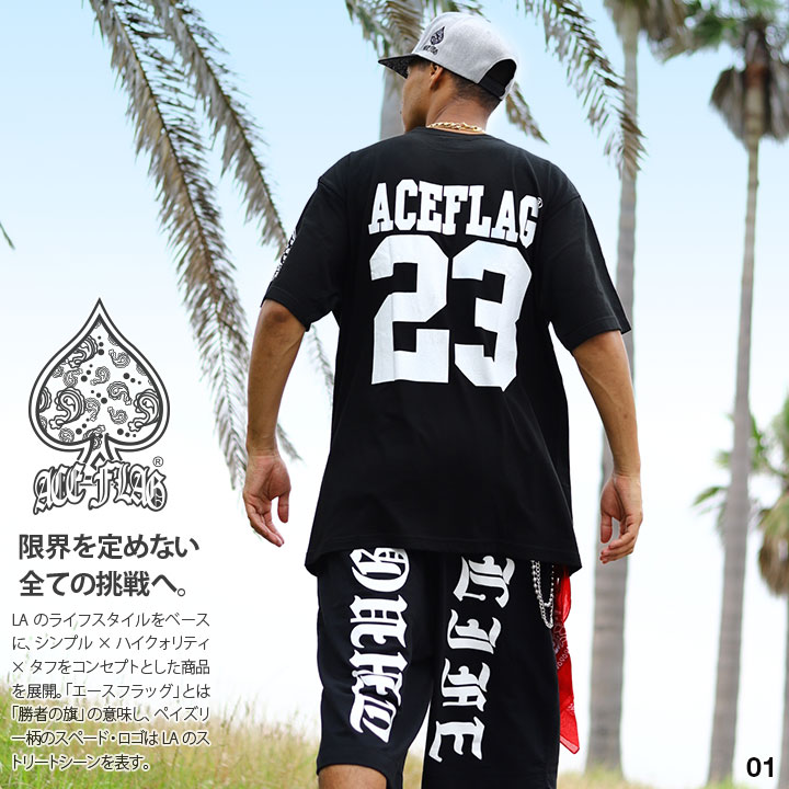 入手困難 即納 エースフラッグ ACEFLAG セットアップ 半袖 23 ACEFLAG ACE FLAG 上下セット 半袖 ブランド Tシャツ ハーフ