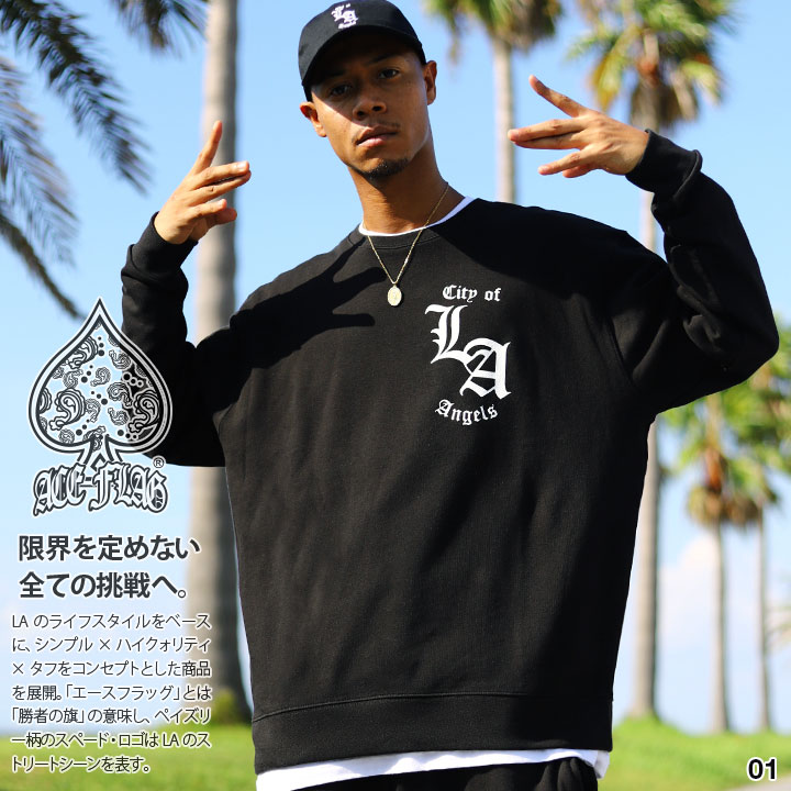 【カッコいい全６色★】  Flagロゴトレーナー★ 楽天市場】ACE FLAG トレーナー ブランド スケボー 長袖
