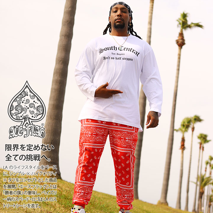 ACE FLAG ㉺Zbg  uh TVc T Opc 傫TCY G[XtbO ZbgAbv W[W South Central TEXZg bn