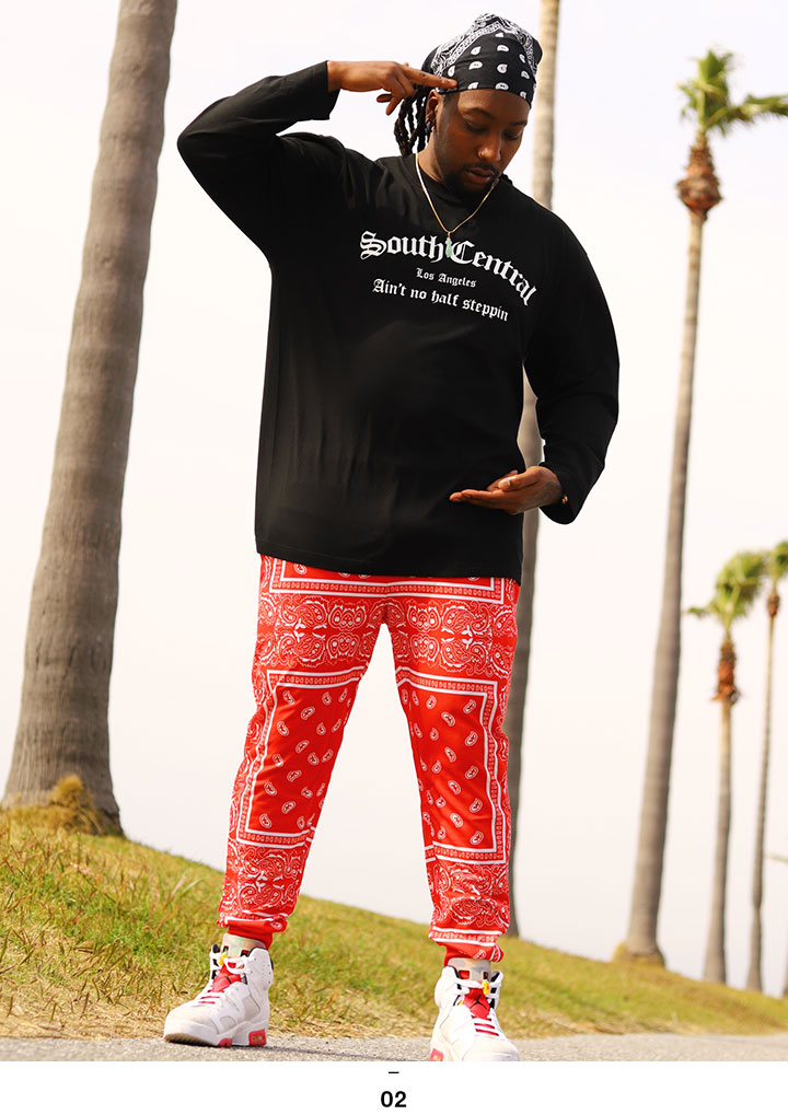 ACEFLAG（エースフラッグ） 上下セット 長袖 ブランド Tシャツ ロンT