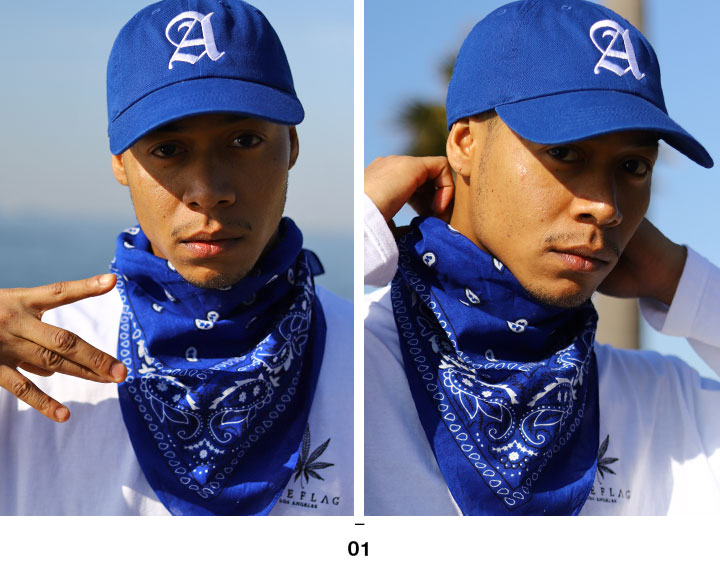 ACE FLAG キャップ 大きいサイズ エースフラッグ 帽子 cap ローキャップ 浅め ベースボールキャップ Aロゴ アルファベット 英字 刺繍 | ACEFLAG | 03