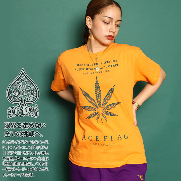 ACE FLAG Tシャツ 半袖 大きいサイズ エースフラッグ シンプル 大麻 マリファナ ヘンプ ロゴ チカーノ ローライダー グラデーション｜weekindenim