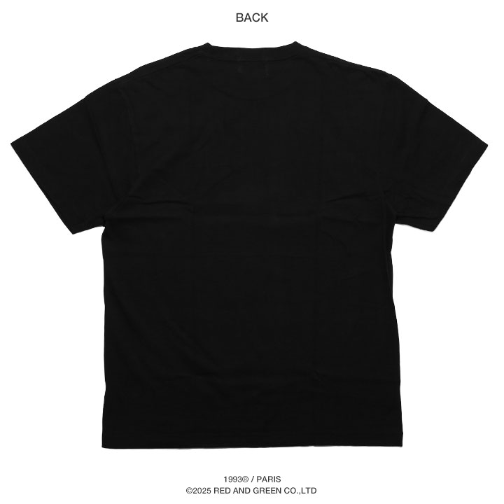 1993 DESIGNED WORLD HIPHOP Tシャツ 半袖 大きいサイズ ナイン 