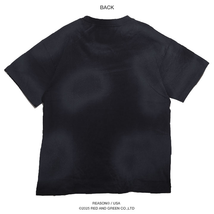 REASON × Chucky Tシャツ 半袖 メンズ 総柄 大きいサイズ チャッキー 