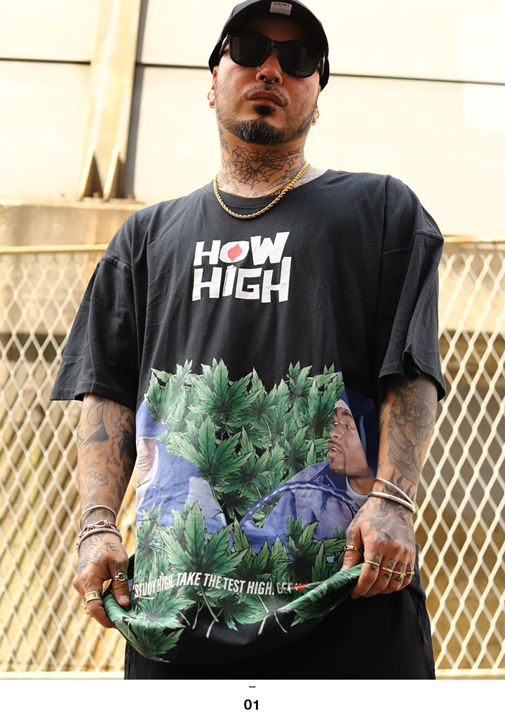 REASON × HOW HIGH Tシャツ 半袖 大きいサイズ ハウ ハイ 映画 ビー