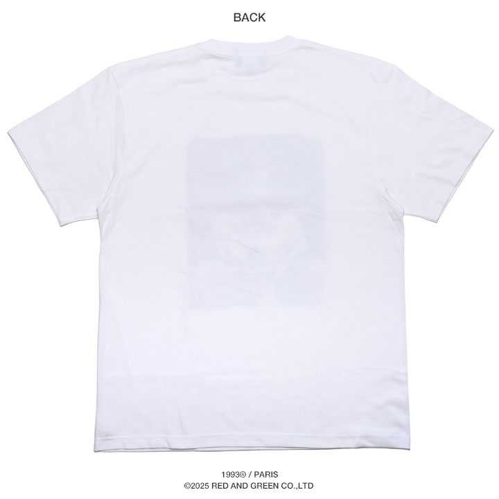 1993 DESIGNED WORLD HIPHOP Tシャツ 半袖 大きいサイズ ナイン