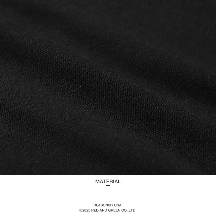 REASON × Cheech & Chong セットアップ b系 半袖 ブランド T REASON × Cheech & Chong セットアップ b系 半袖 ブランド T