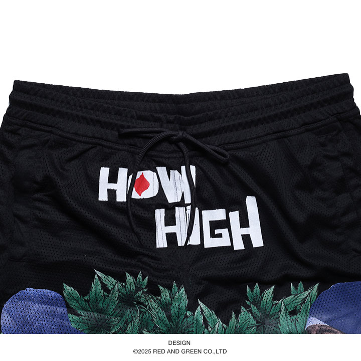 REASON × HOW HIGH ハーフパンツ バスパン 半ズボン 短パン 大きい