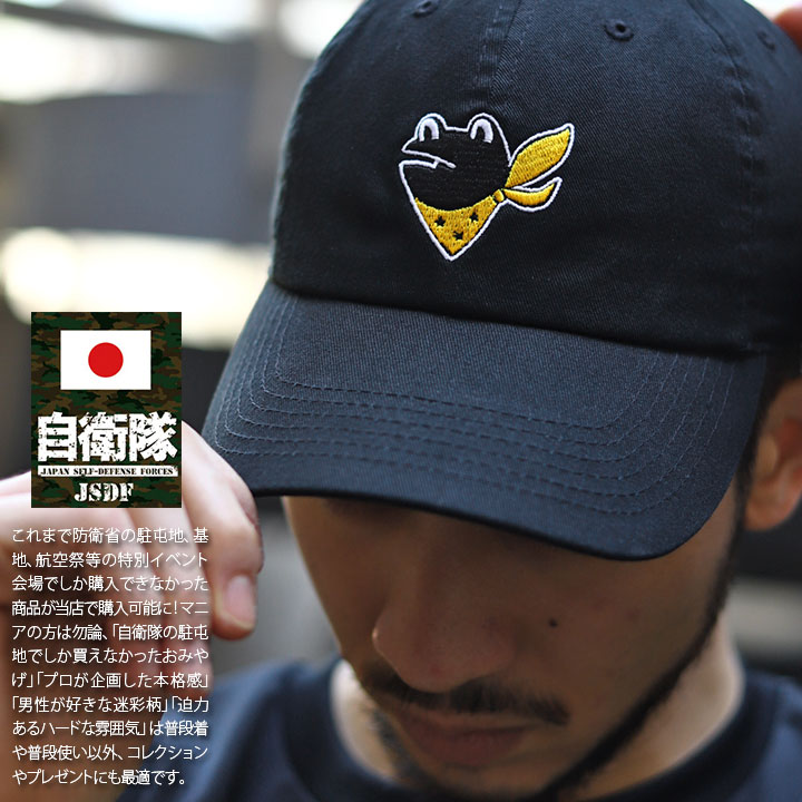 自衛隊 グッズ 第301飛行隊 マーク ケロヨン カエル F35 空自