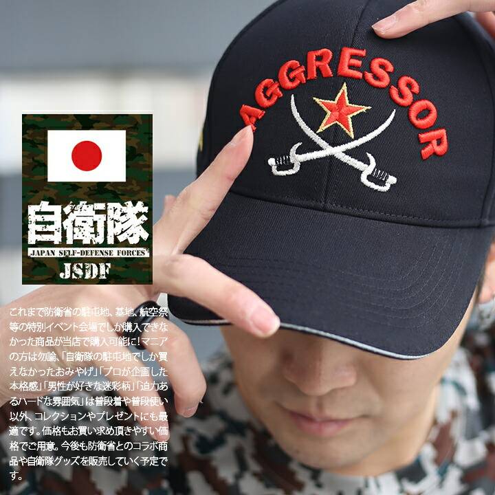 楽天市場】自衛隊 グッズ アグレッサー 飛行教導群 アグレス