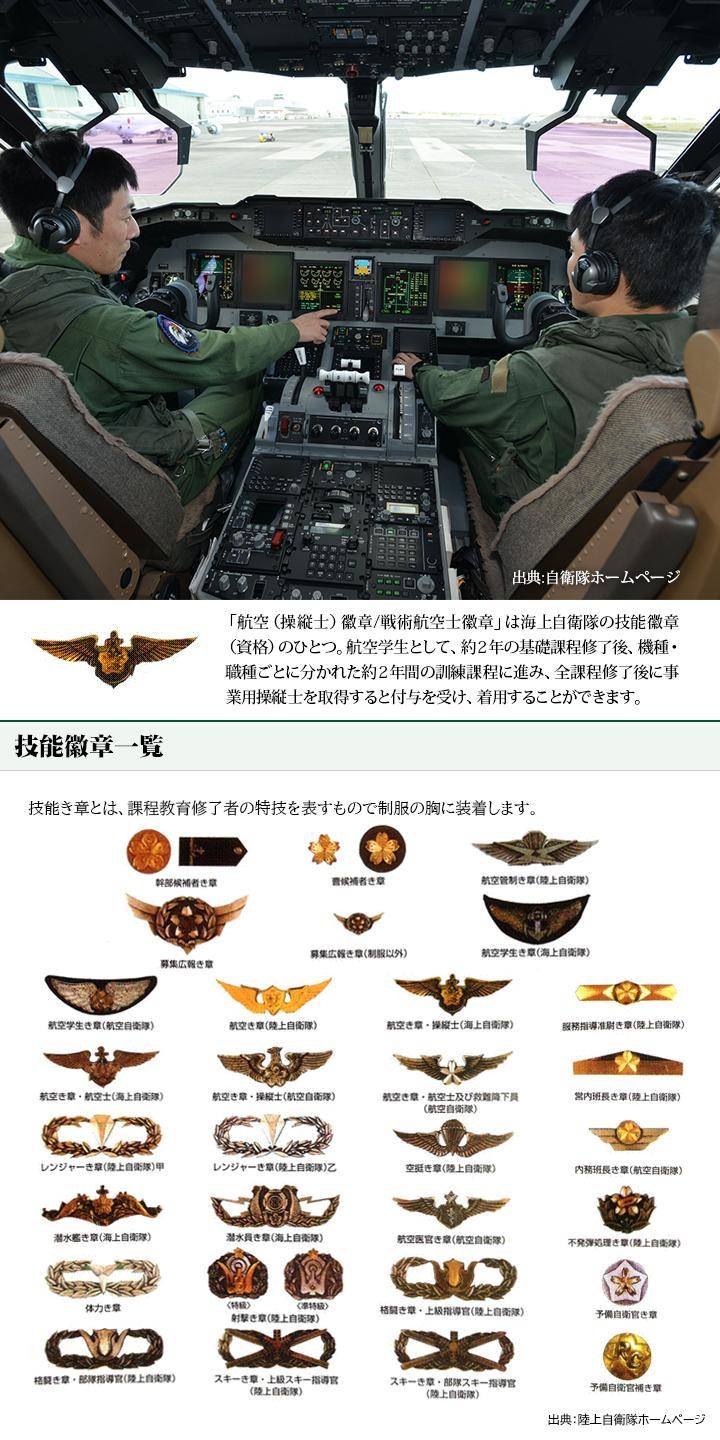 自衛隊 グッズ 海上自衛隊 操縦士 航空機操縦士 戦術航空士 徽章 ピンバッチ ピンバッジ ブローチ 海自 操縦士徽章 戦術航空士き章 航空徽章 ピンズ  :980021052:本格派大人のB系XL零ZERO - 通販 - Yahoo!ショッピング