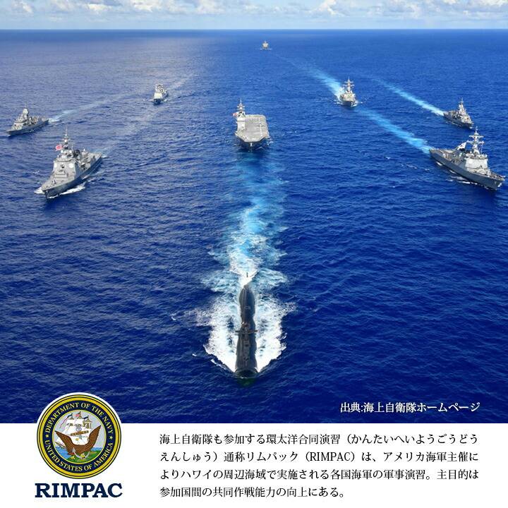 アメリカ海軍 海上自衛隊 迷彩国旗ワッペン - その他