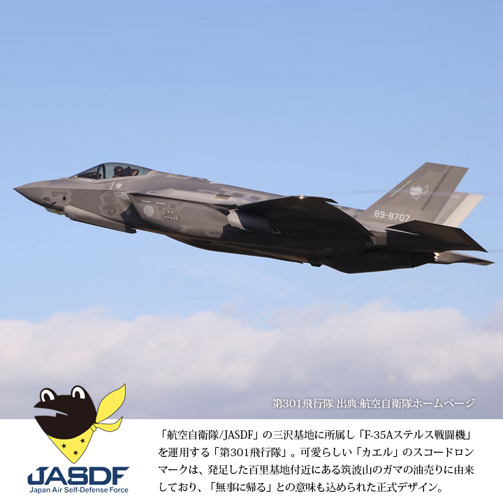 洗える マスク 布マスク 第301飛行隊 F35A 三沢基地 航空自衛隊 空自