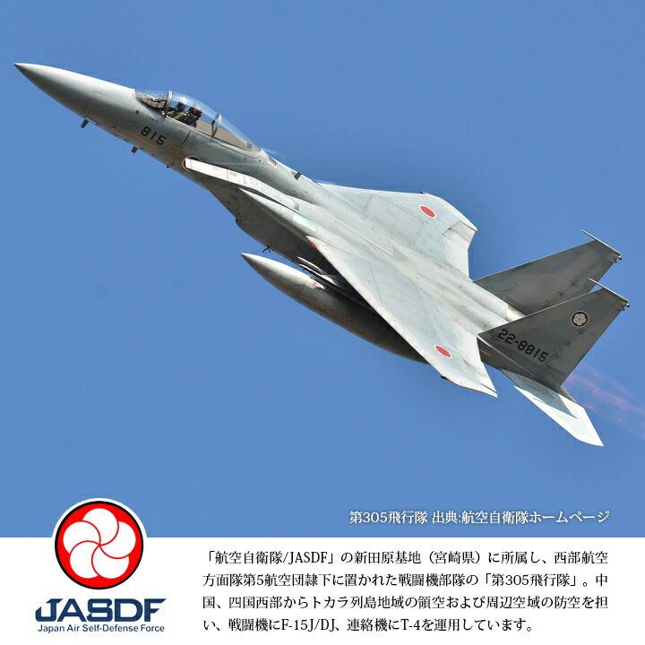 自衛隊 グッズ 第305飛行隊 梅花 F15 空自 ピンバッチ