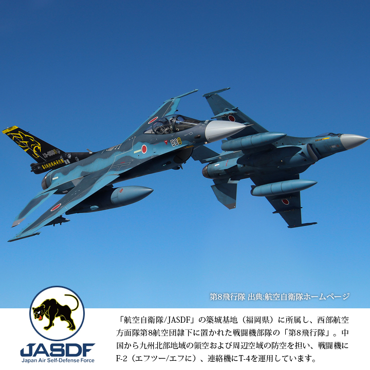 航空自衛隊 F-2 戦闘機 飛行隊 パッチ レア pediatriacrescer.com.br