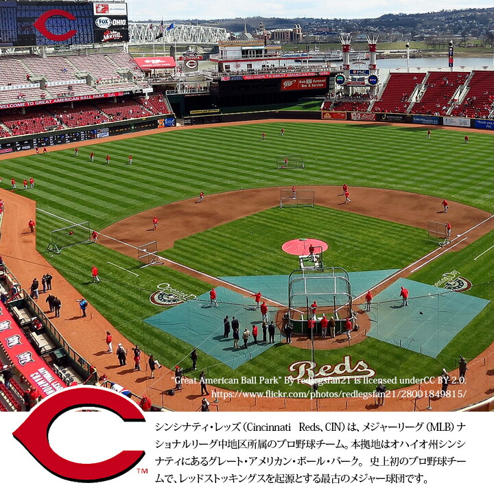 LP59FIFTY ニューエラ NEW ERA キャップ MLB Reds ロゴ LP