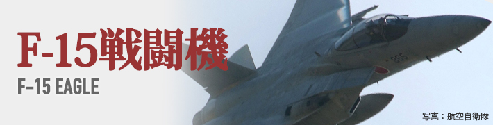 本格派大人のB系XL&零ZERO - F15戦闘機（装備品から探す）｜Yahoo