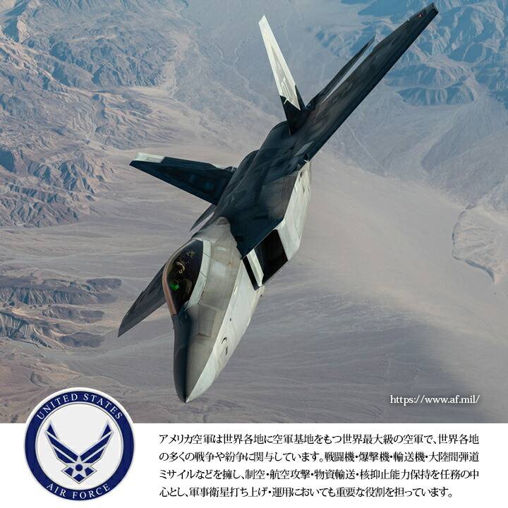 USエアフォース アメリカ空軍 ブランド MA1 パイロットジャンパー