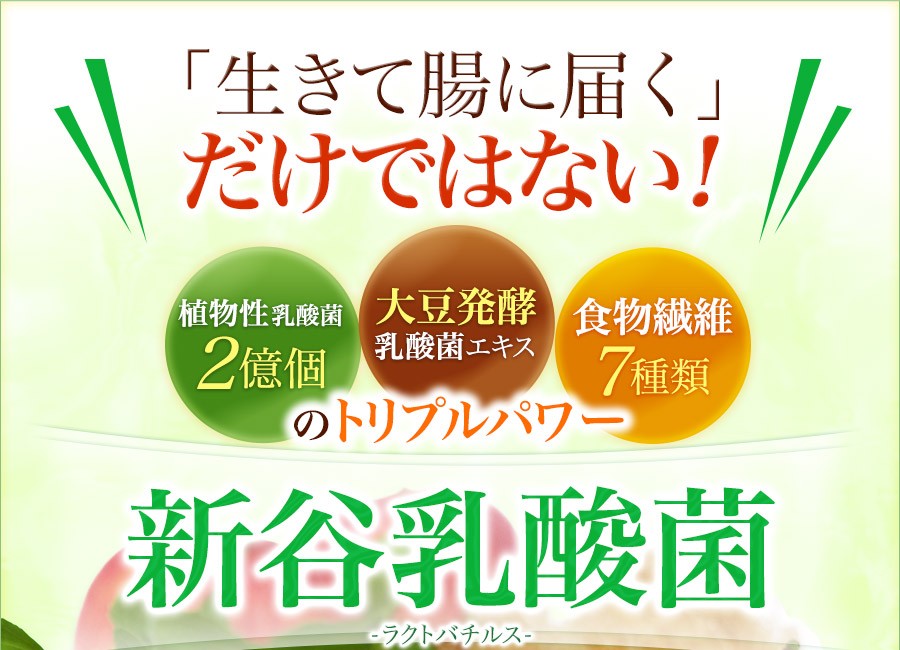 乳酸菌 サプリ 植物性乳酸菌 生きたまま腸に届く 新谷乳酸菌（15日分） :K10102220001:WELLBESTショッピング Yahoo!店 -  通販 - Yahoo!ショッピング