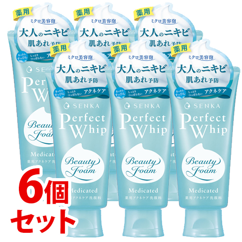 《セット販売》　ファイントゥデイ 洗顔専科 パーフェクトホイップ アクネケア (120g)×6個セット 洗顔フォーム　医薬部外品｜wellness-web