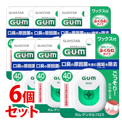 ԥåա󥹥  ǥ󥿥ե å (40m)6ĥå դॿ GUM 륱