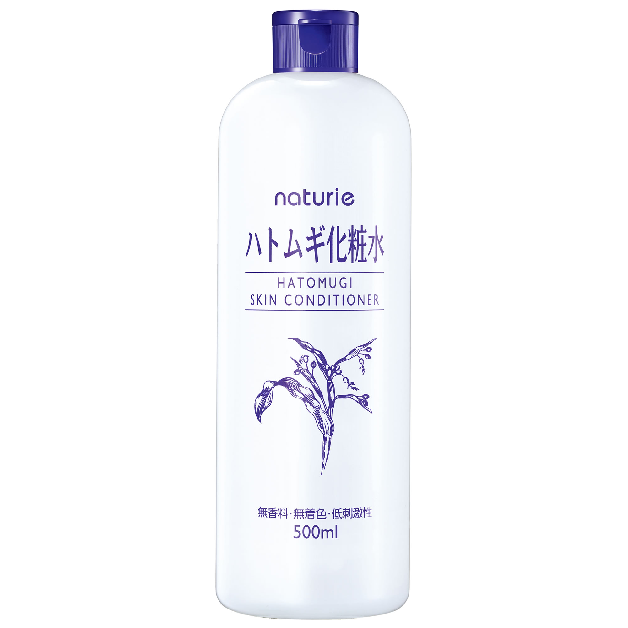 C~ i`G XLRfBVi[ R ngMϐ (500mL) ێϐ ngMGLX