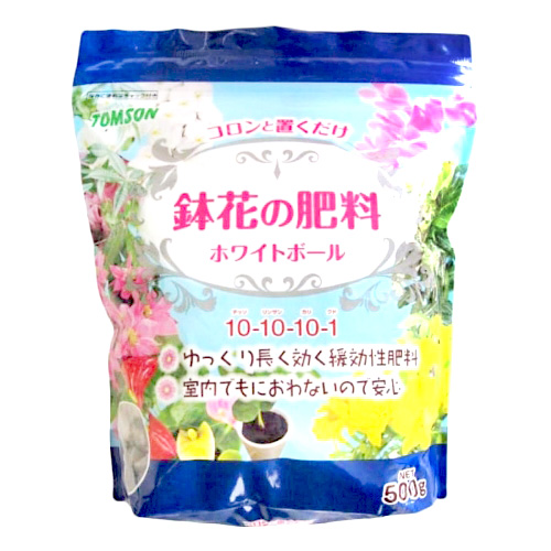 ȥॽ ȭ֤ ۥ磻ȥܡ (500g)  ǥ˥
