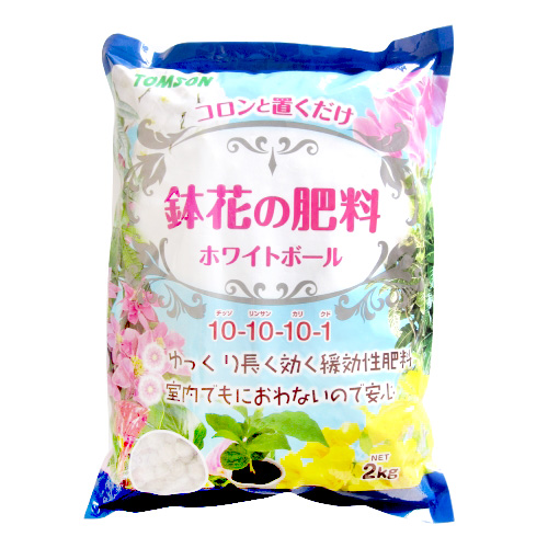 ȥॽ ȭ֤ ۥ磻ȥܡ (2kg)  ǥ˥