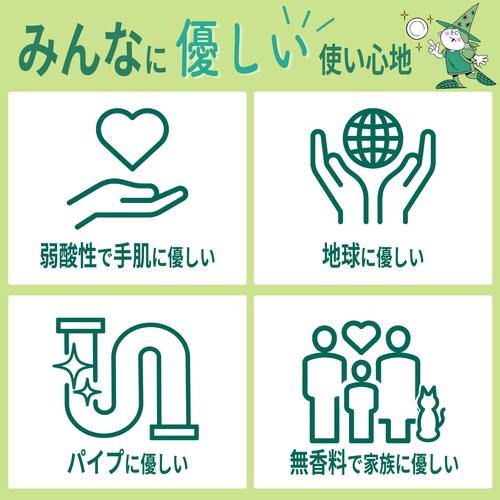 ミマスクリ-ン 緑の魔女 キッチン 業務用サイ...の詳細画像5