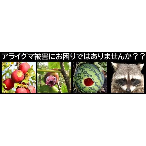 プラスリブ 撃退 アライグマ 3個入 害獣忌避剤 対策 : ドラッグストア