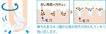 弾力のあるキメ細やかな泡が毛穴の汚れもスッキリ洗い流します。